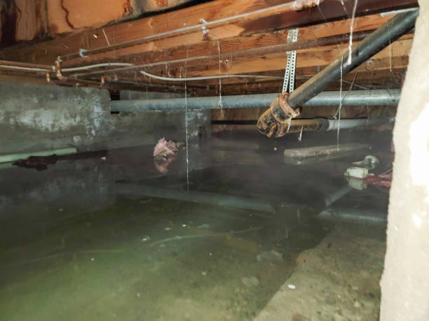 Best Ceiling water damage repair  in Bixby, OK