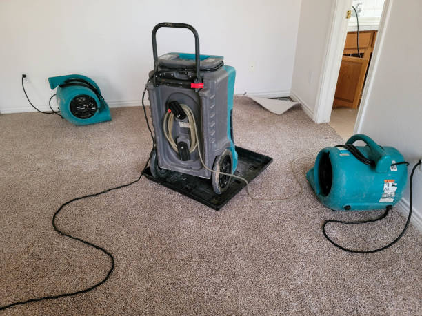 Best Water damage contractors near me  in Bixby, OK