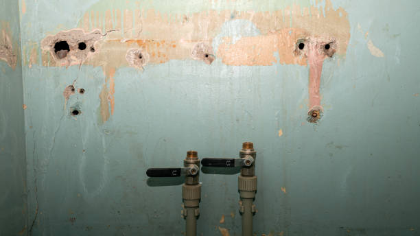Best Water damage contractors near me  in Bixby, OK