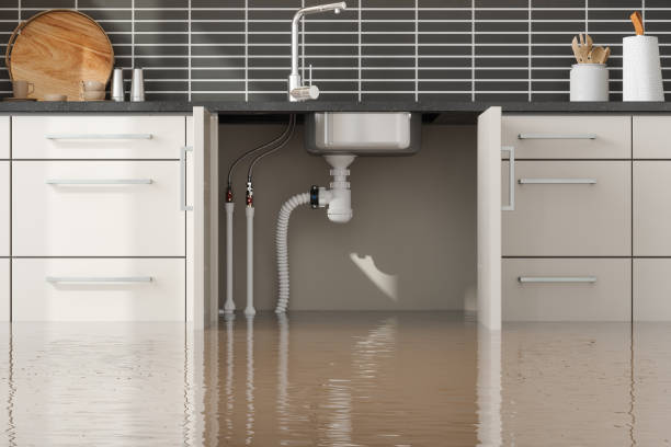 Best Carpet water damage restoration  in Bixby, OK